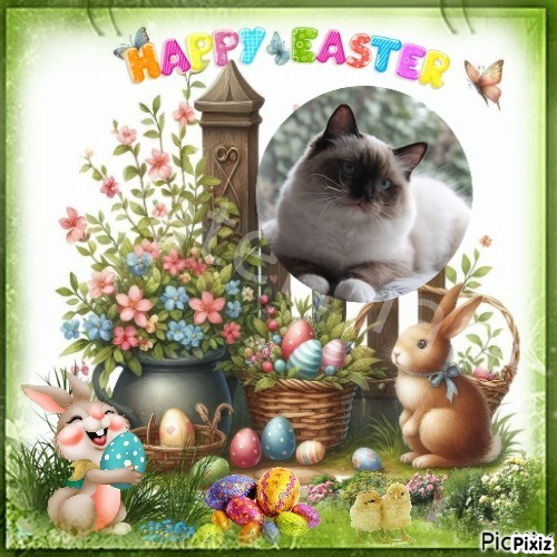 Genesis-sisca of the Ada family