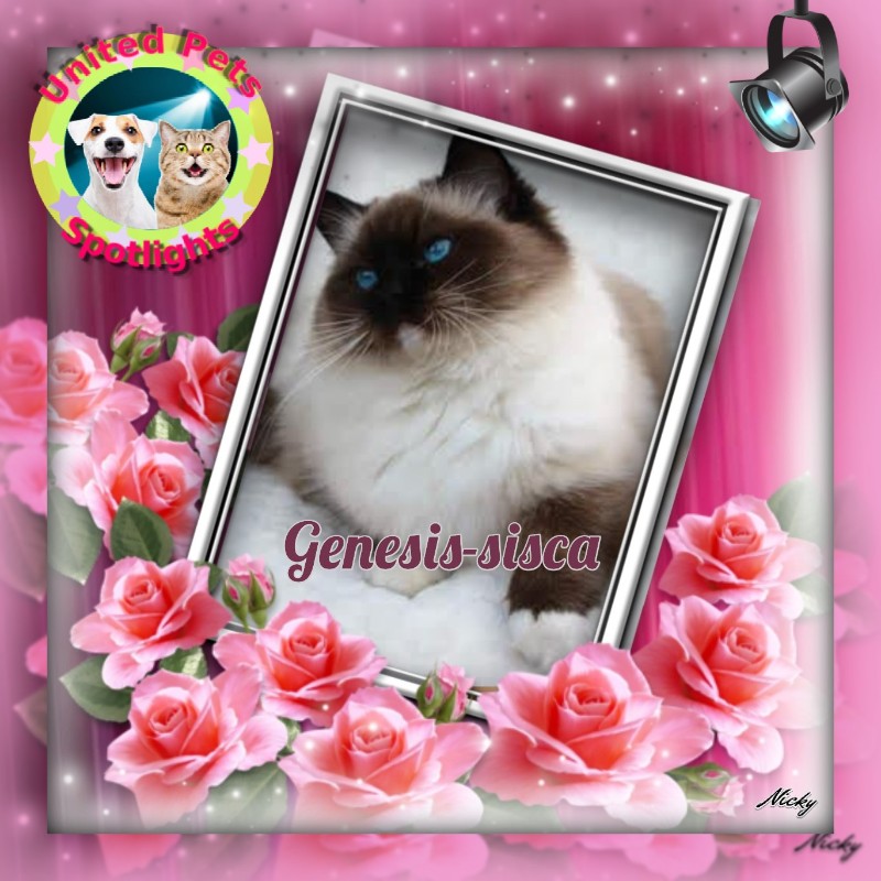 Genesis-sisca of the Ada family