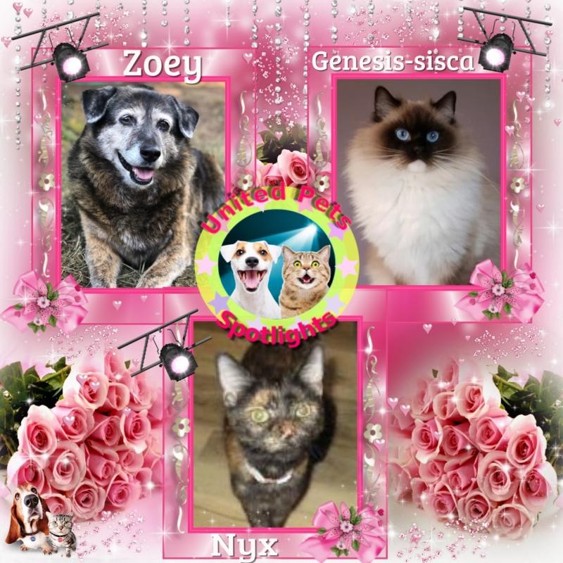 Genesis-sisca of the Ada family