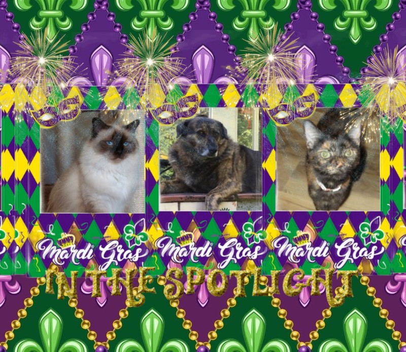 Genesis-sisca of the Ada family