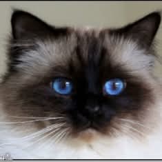 Ada uploaded   93  day/s  ago