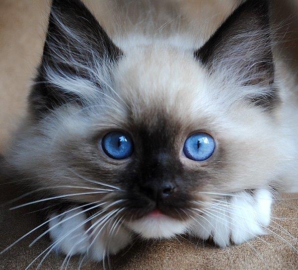 Ada uploaded   6 year/s ago