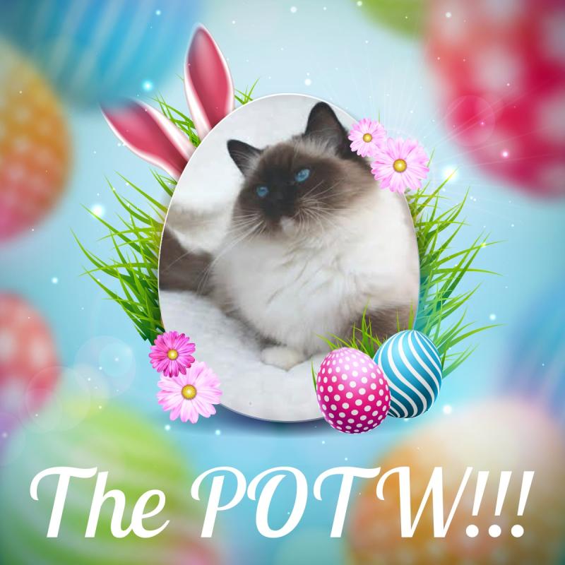 Genesis-sisca of the Ada family