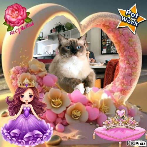 Genesis-sisca of the Ada family