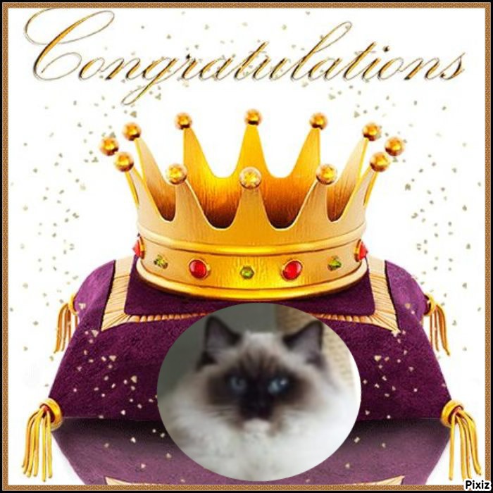 Ada uploaded   11  day/s  ago