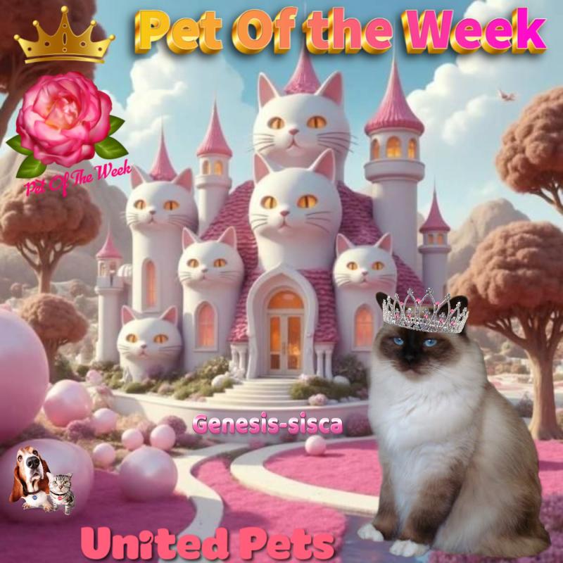 Ada uploaded   11  day/s  ago