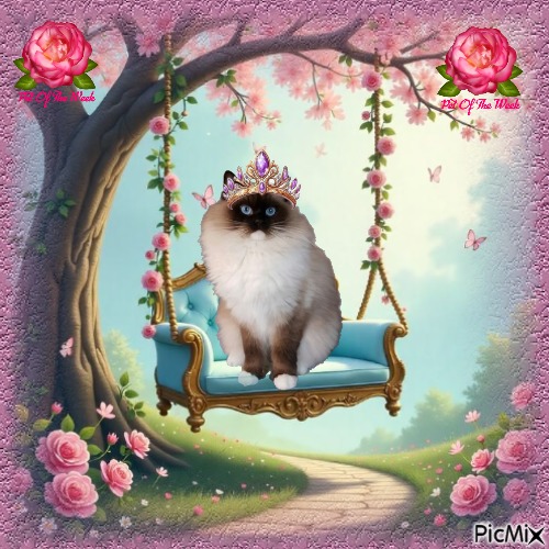 Genesis-sisca of the Ada family