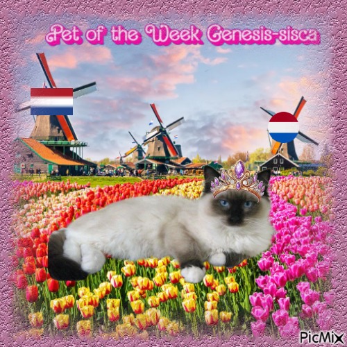 Genesis-sisca of the Ada family