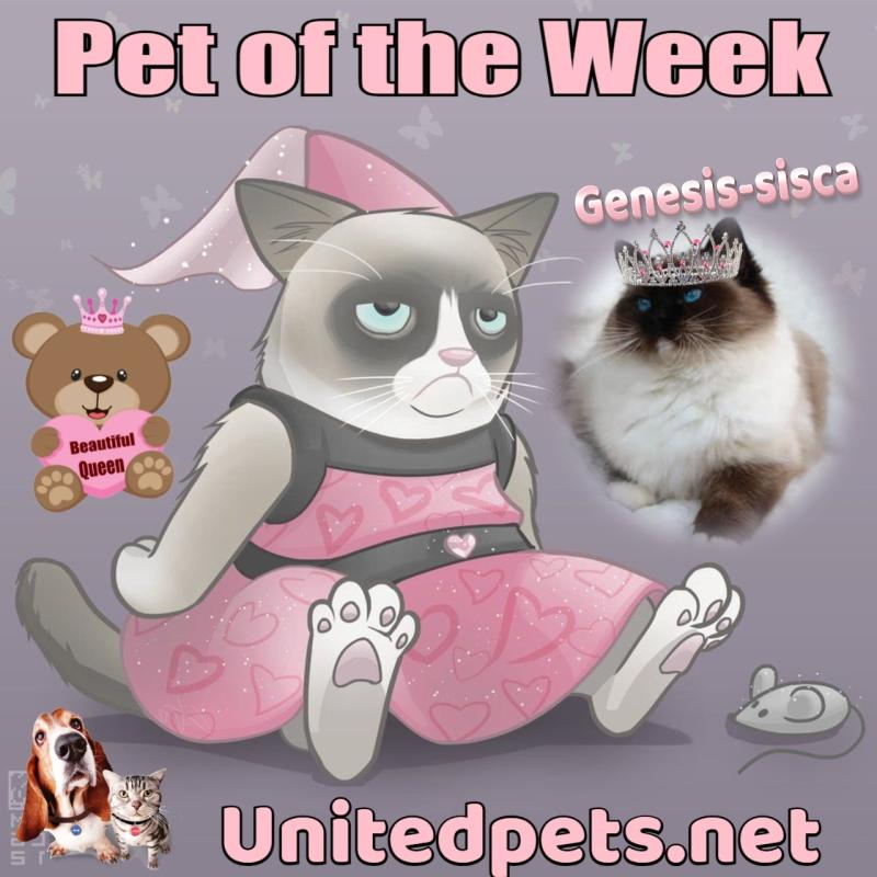 Genesis-sisca of the Ada family