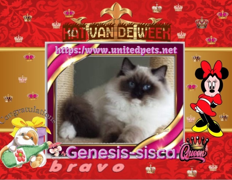 Genesis-sisca of the Ada family