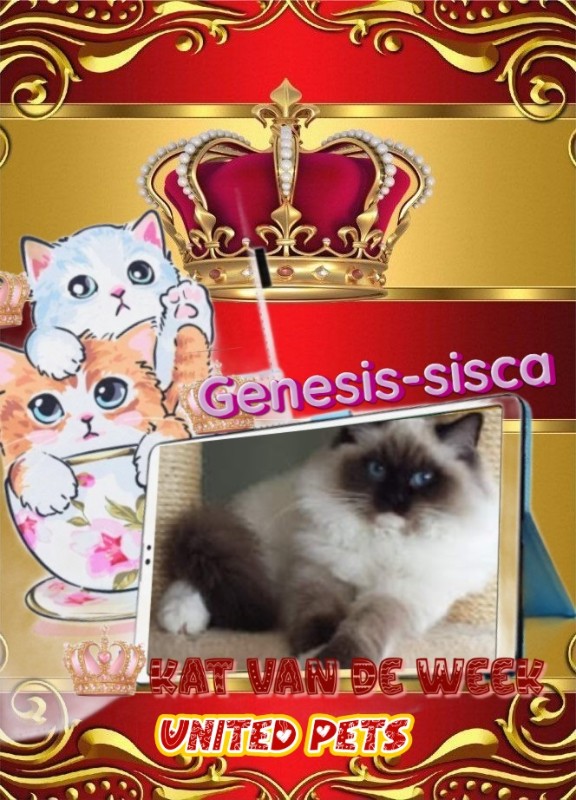 Ada uploaded   13  day/s  ago