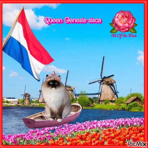 Genesis-sisca of the Ada family