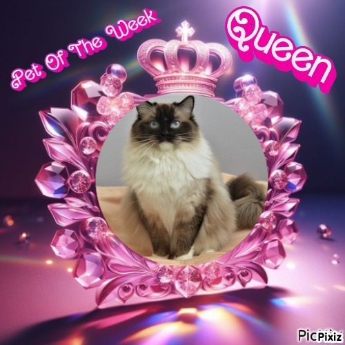 Genesis-sisca of the Ada family