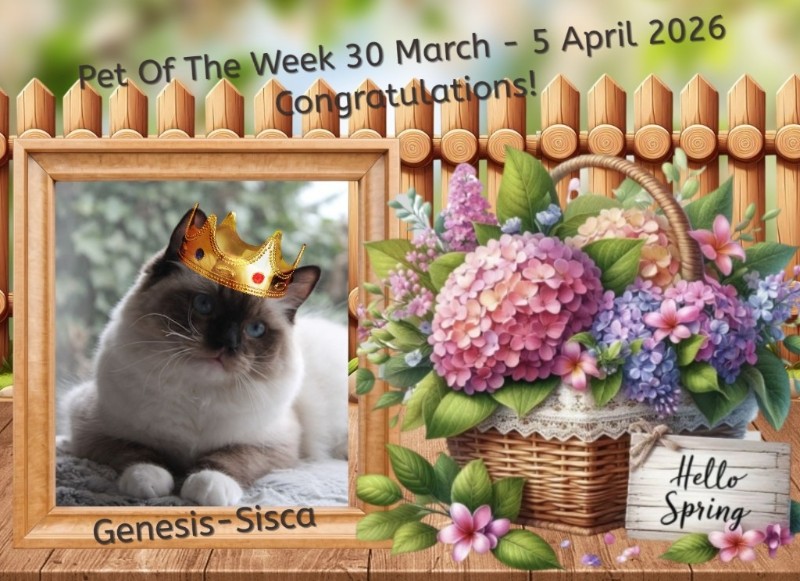 Ada uploaded   9  day/s  ago