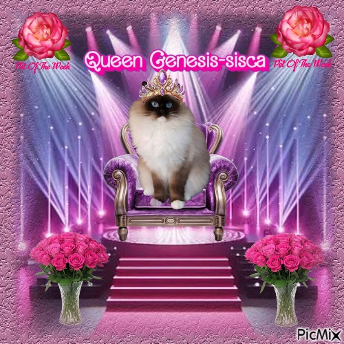 Genesis-sisca of the Ada family