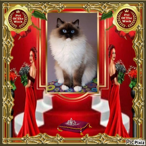 Genesis-sisca of the Ada family