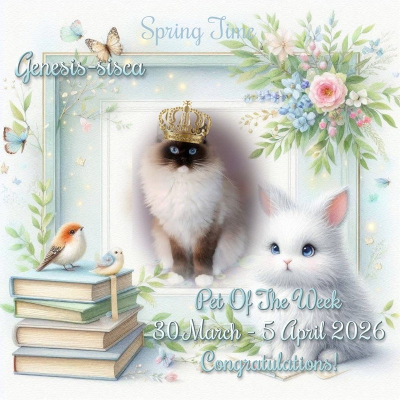 Genesis-sisca of the Ada family