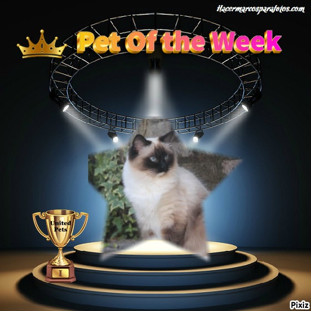 Ada uploaded   9  day/s  ago