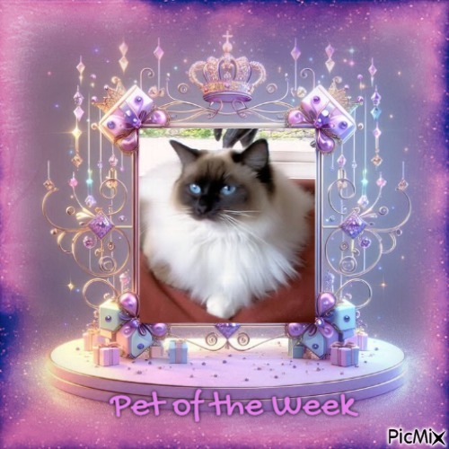 Genesis-sisca of the Ada family