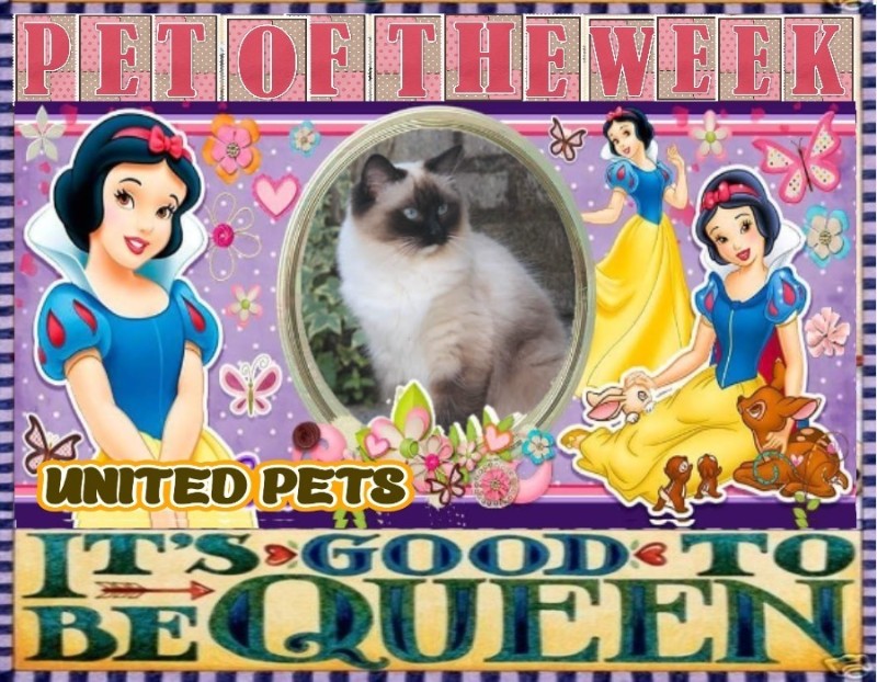 Ada uploaded   13  day/s  ago