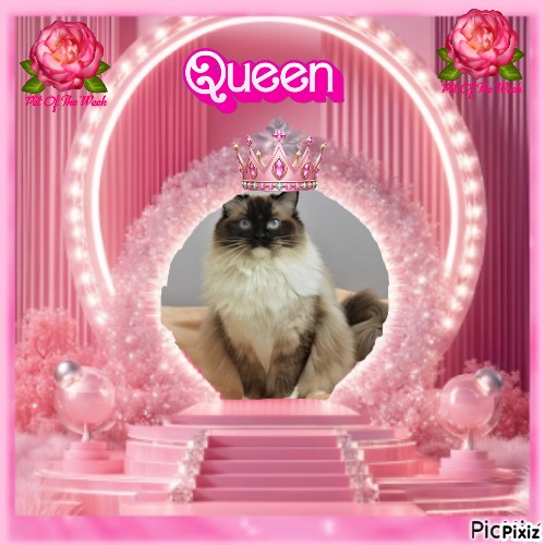 Genesis-sisca of the Ada family