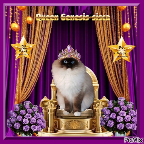 Ada uploaded   13  day/s  ago