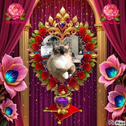 Genesis-sisca of the Ada family