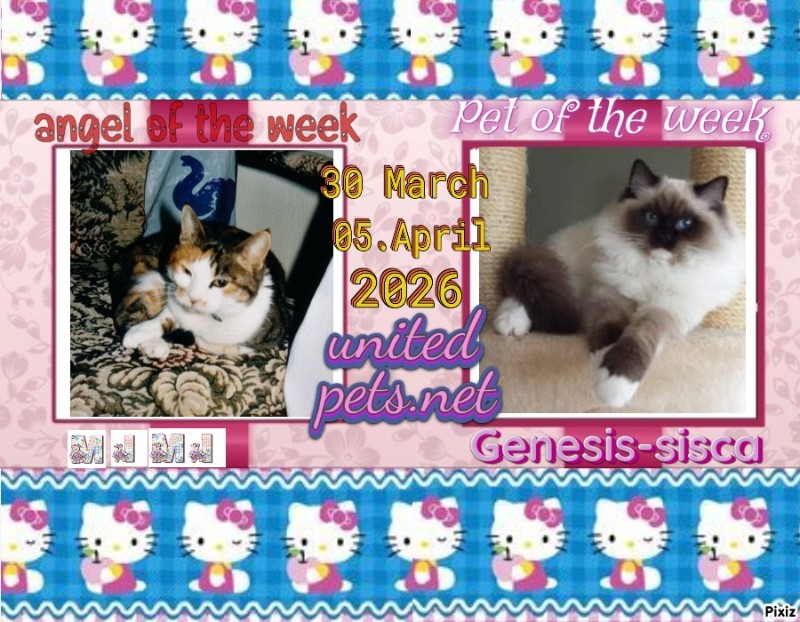 Ada uploaded   13  day/s  ago