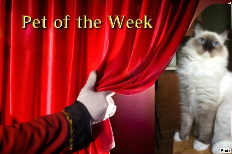 Ada uploaded   9  day/s  ago