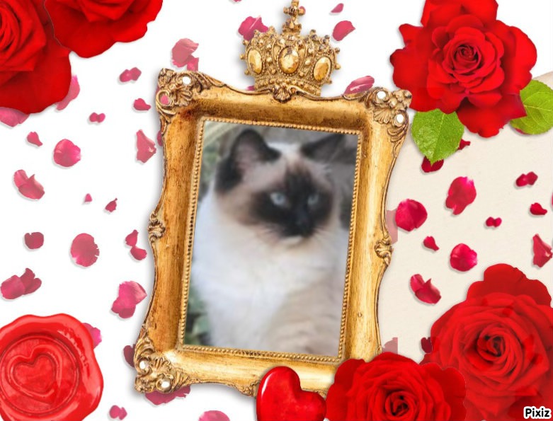 Ada uploaded   9  day/s  ago