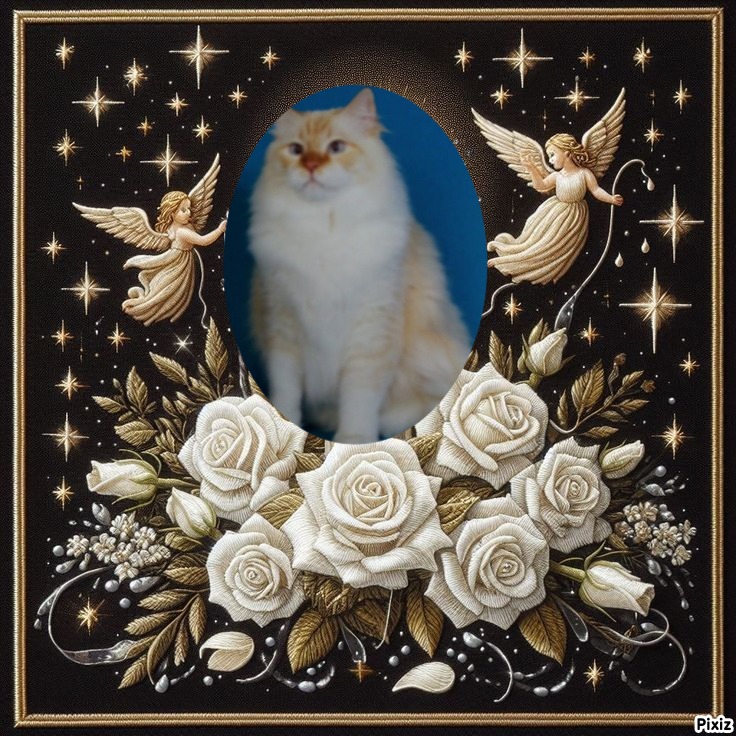 Chatabe of the Ada family