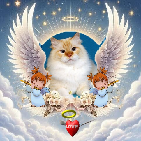 Chatabe of the Ada family