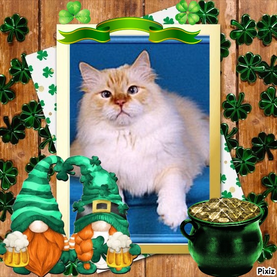 Chatabe of the Ada family