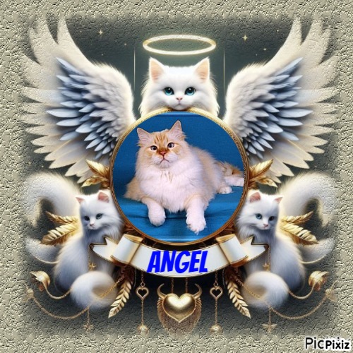 Chatabe of the Ada family