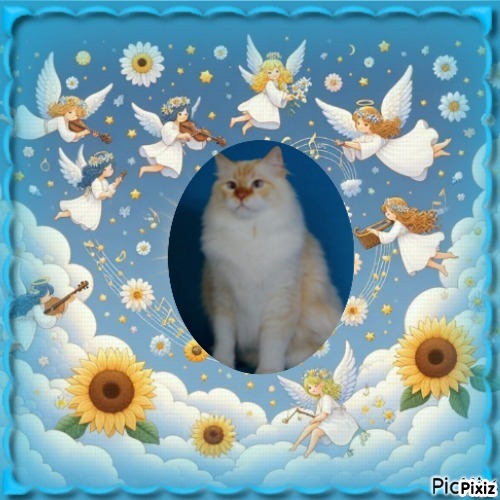 Chatabe of the Ada family