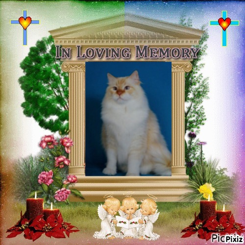 Chatabe of the Ada family