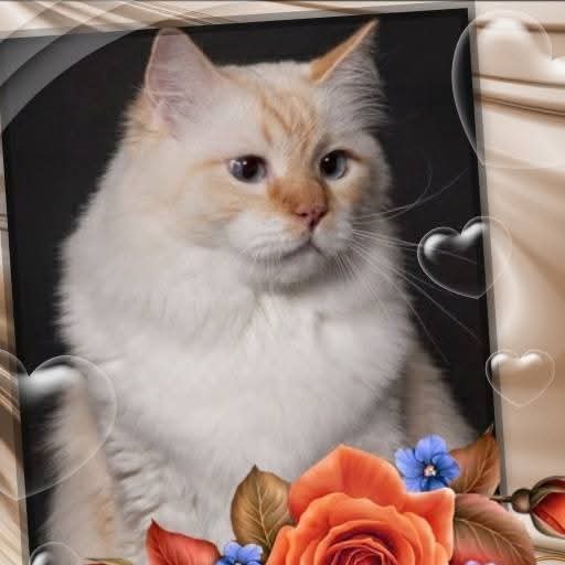 Chatabe of the Ada family