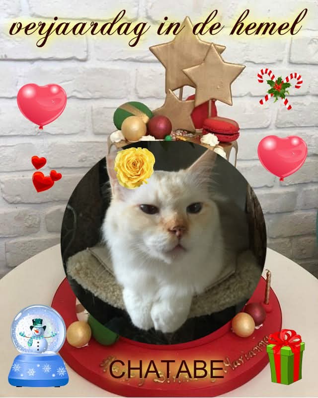 Chatabe of the Ada family