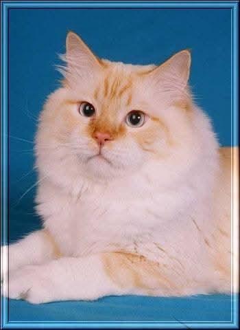 Chatabe of the Ada family