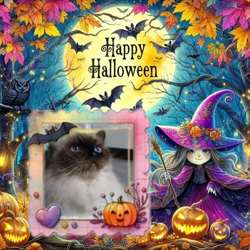 Joya Fayola of the Ada family