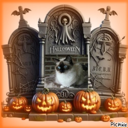 Joya Fayola of the Ada family