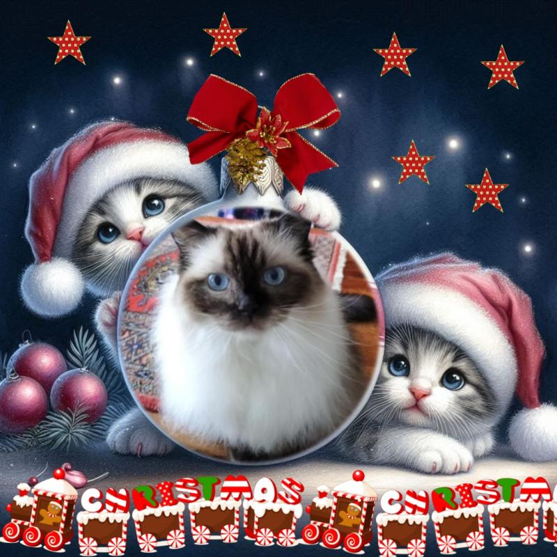 Joya Fayola of the Ada family