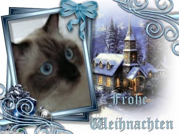 Joya Fayola of the Ada family