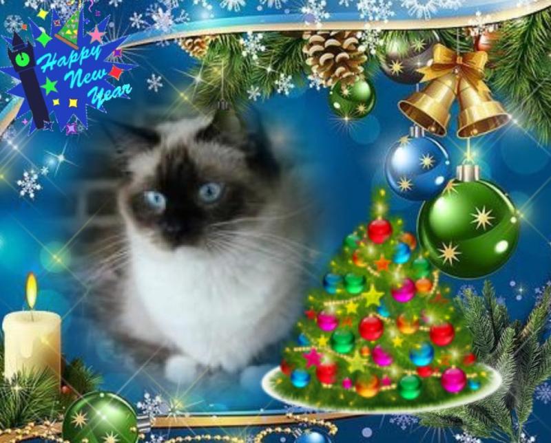 Joya Fayola of the Ada family