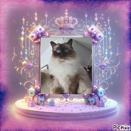 Joya Fayola of the Ada family