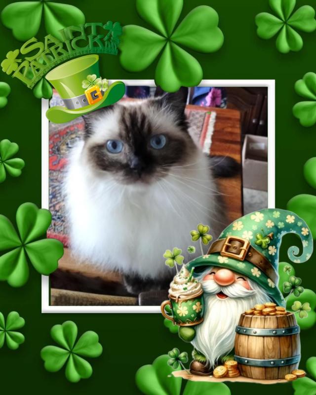 Joya Fayola of the Ada family