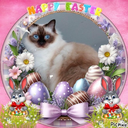 Joya Fayola of the Ada family