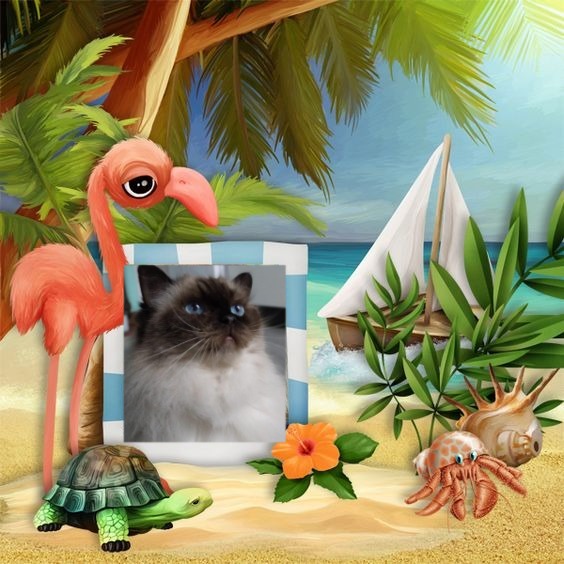 Joya Fayola of the Ada family