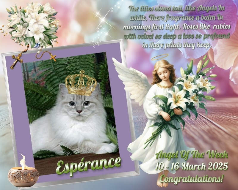 Ada uploaded   1 year/s ago