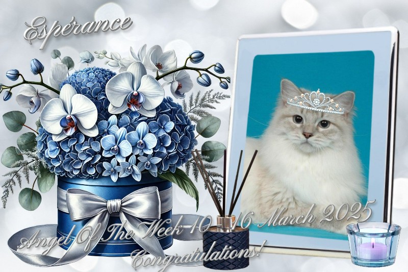 Ada uploaded   1 year/s ago